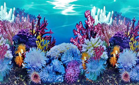 Buy 3d aquarium background Online in Sri Lanka at Low Prices at desertcart