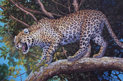 Snarling Leopard by WillemSvdMerwe on DeviantArt