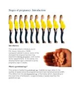 Ppt Three Stages Of Pregnancy Powerpoint Presentation Free Download Id2416122