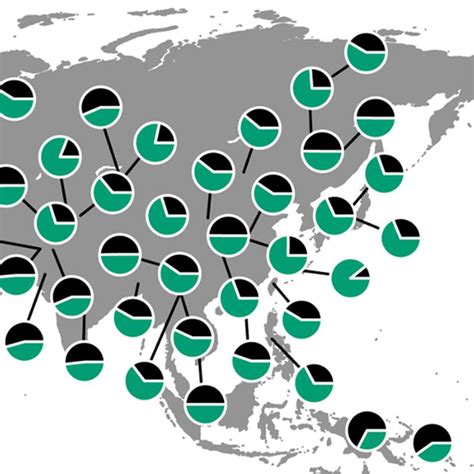 Patterns of Human Genetic Diversity