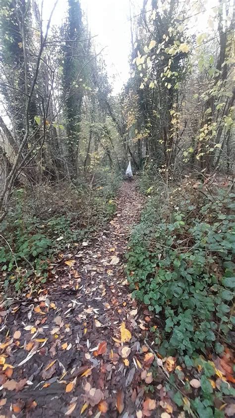 Shocked Big Baps M Cafe Litter Buster Gives Message To Selfish Sex Cruisers YorkshireLive