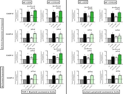 Effects Of Apigenin AP Alone And In Combination With Etoposide ETP