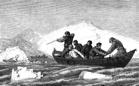 19th Century Seal Hunters Photograph By Collection Abecasisscience