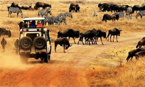 Kenya National Park Conservation Fees 2022 - 2024 | Kenya Safaris Tours