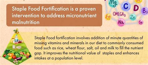 Combating Micronutrient Malnutrition Through Food Fortification