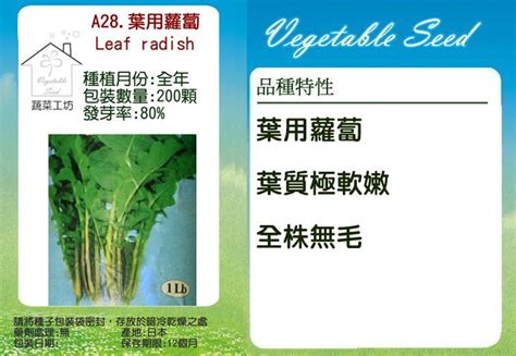 蔬菜工坊 A28葉用蘿蔔種子 Pchome 24h購物