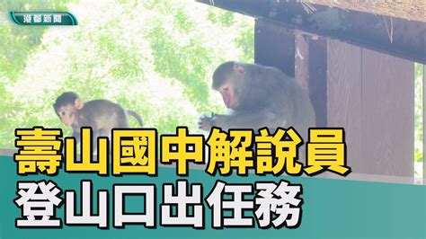 中嘉 新聞網