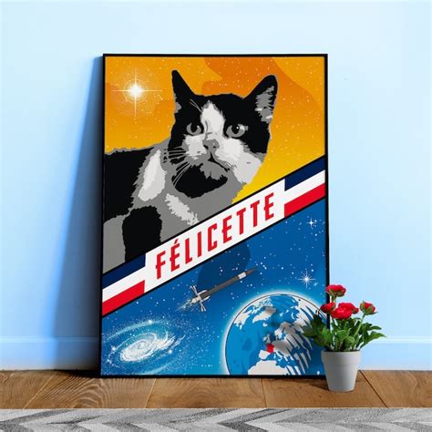 Felicette Space Cat - Etsy