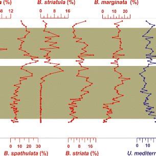 Relative Abundances Of The Main Benthic Foraminiferal Species Of