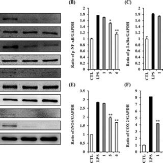 Effect Of Compounds And On Interleukin Il And Tumor