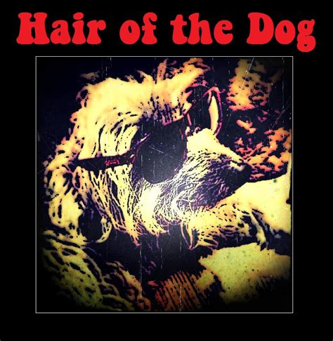 Hair of the Dog | Hair Of The Dog