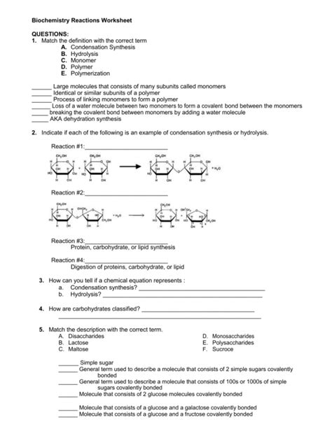 Biochemistry Reactions Worksheet