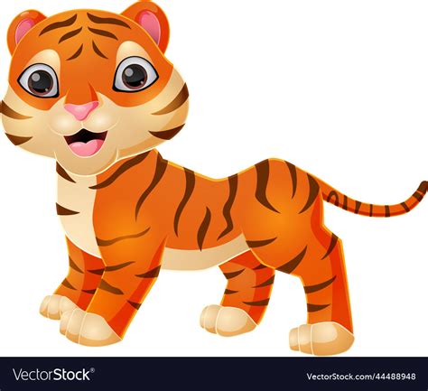 Cute tiger cartoon on white background Royalty Free Vector