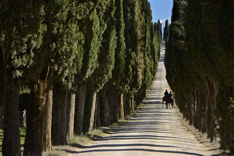 Anello Villa Arceno Castelnuovo Berardenga Breve Percorso Nel