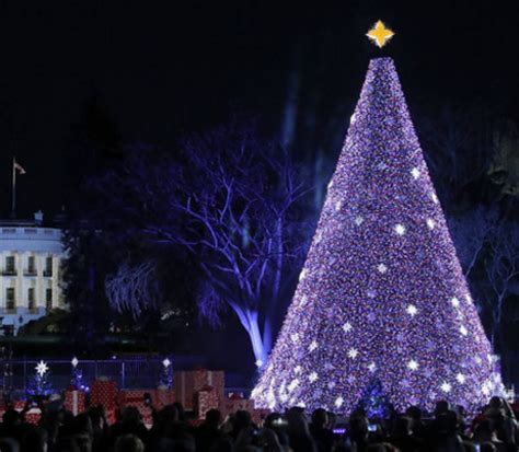 Natale Gli Alberi Piu Belli Del Mondo Ultime Notizie Flash