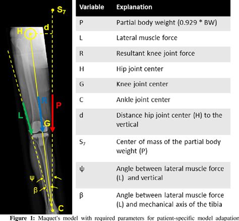 Figure 1 From Evaluation Of 2D Biomechanical Models Of The Knee Of One