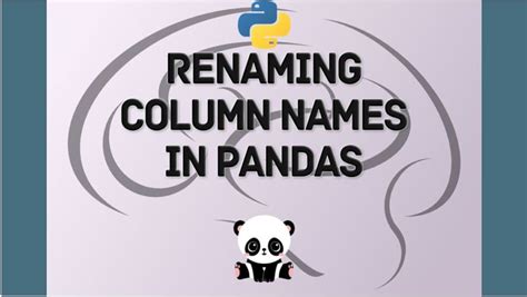 Rename Column Names In Python Pandas Dataframe I2tutorials