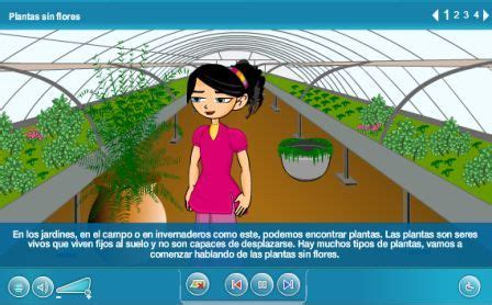 El estublog de 6ºB Las plantas