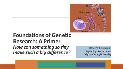 Foundations Of Genetic Research A Primer