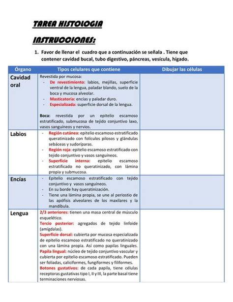 Histología gastrointestinal cuadro conceptual Sofía Valdivia uDocz