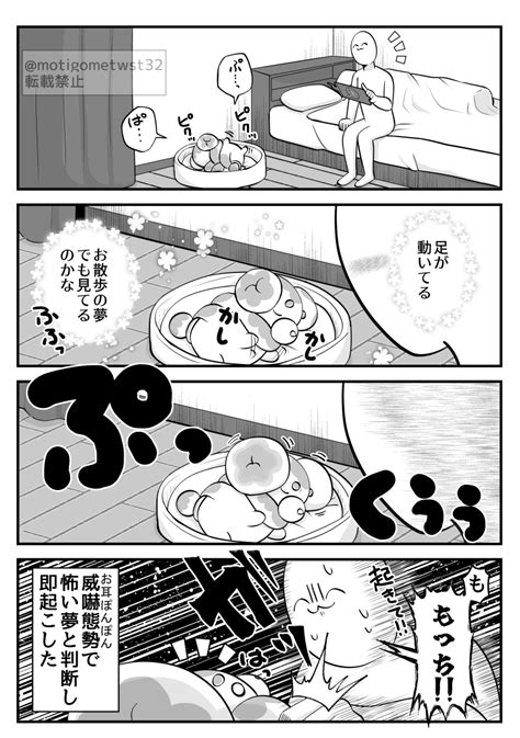 「パピモッチのアレ ポケモンと生活 」やっちまったなの漫画