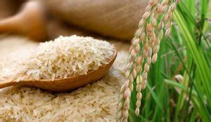 300 000 Metric Tons Of Rice To Be Imported To Sri Lanka Sri Lanka