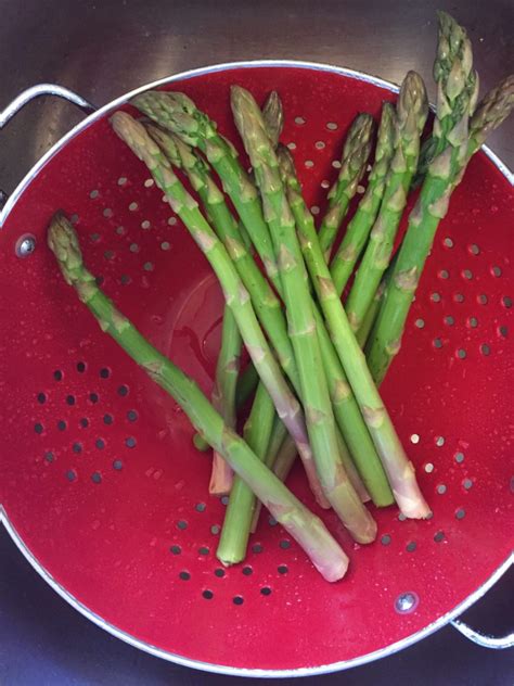 Sous Vide Asparagus Recipe and Process - Sous Vide Idea