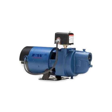 Flint And Walling Flint And Walling Ek10s Model Ek Shallow Well Jet Pump 1 0 Hp 115v 230v 1ph