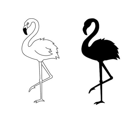 A Ilustra O Vetorial De Flamingo Em Estilo De Contorno Isolada Em