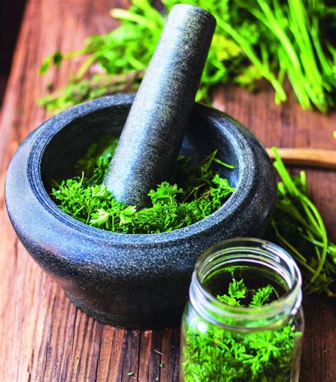 Fermented Fresh Herbs Preserve The Intense Flavor While Adding Probiotics