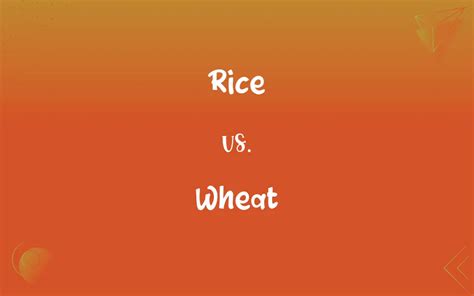 Rice vs. Wheat: What’s the Difference?