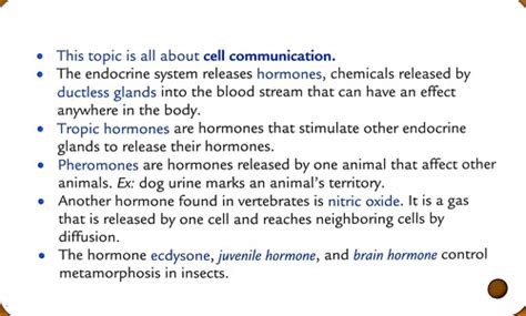 12 Endocrine System Flashcards Quizlet