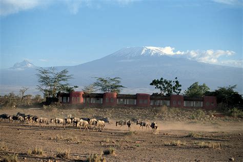 Amboseli Serena Safari Lodge - Achieve Global Safaris