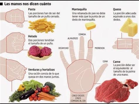 Como Medir Tus Porciones De Alimentos YouTube