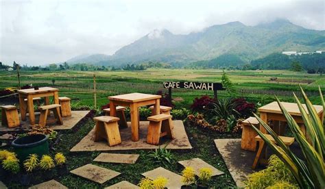 Wisata Kuliner Tempat Ngopi Bernuansa Sawah Di Jogja Yang