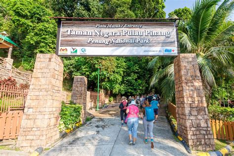 Morning at the Penang National Park - Penang Events