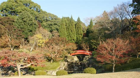 Nara Park, Nara Japan Travel Guide - Happy Jappy