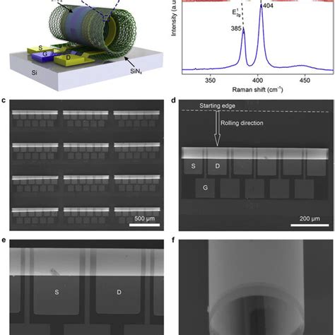 The 3d Tubular Mos2 Fets A Schematic 3d View Of The Tubular Mos2