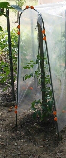 Tuteur Arceau Tomates Vert X M Bricomarch