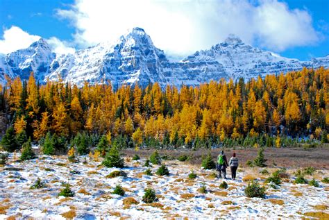 The Best Larch Hikes In Alberta Canadian Geographic