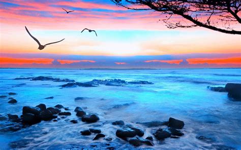 3D Nature Wallpapers (68+ pictures) - WallpaperSet