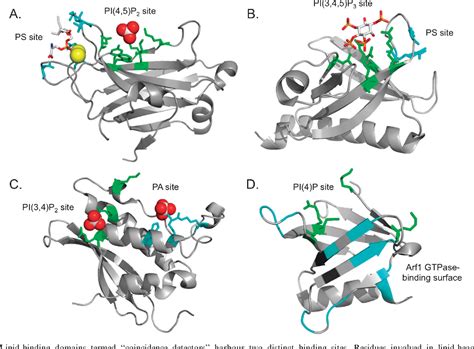 Figure 1 From Emerging Methodologies To Investigate Lipid Protein