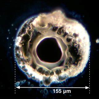 Dark Field Microscope Image Of Point Absorber Measured On An Advanced