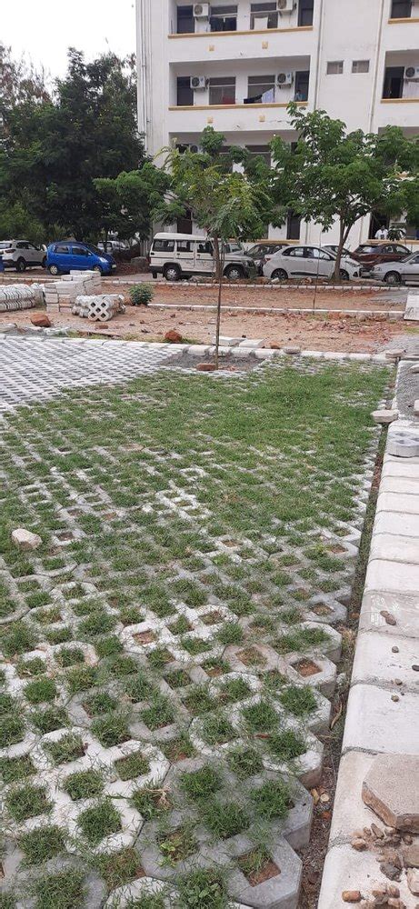 Grey Square Grass Concrete Paver For Landscaping At Rs 65 Square Feet