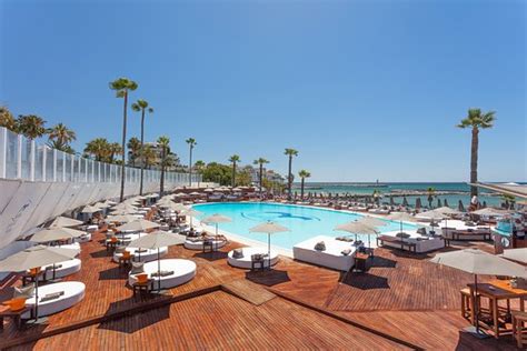 Ocean Club Marbella Puerto Banus Menu Prices And Restaurant Reviews