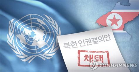 国連人権理の北朝鮮非難決議案 3年連続で共同提案国に加わらず＝韓国 聯合ニュース