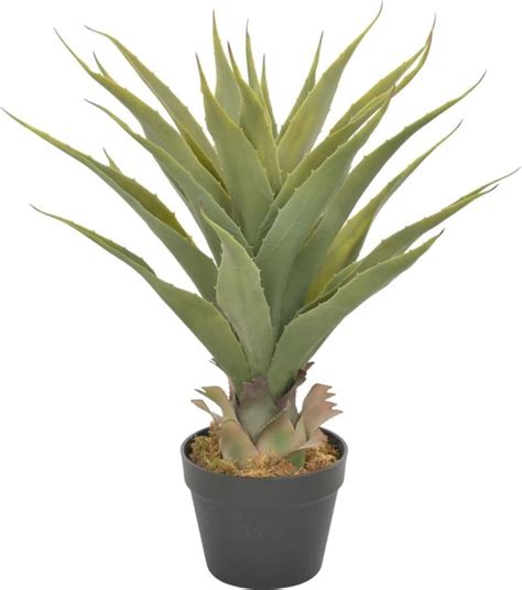 Prolenta Premium Kunstplant Met Pot Yucca Cm Groen Bol