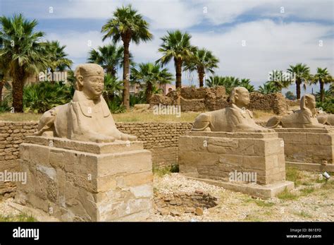 The Avenue Of Sphinx At The Luxor Temple In Luxor Egypt Stock Photo Alamy