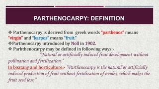 An Introduction to Parthenocarpy | PPT