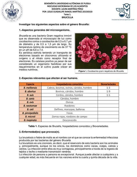 Tarea 1 Brucella BENEM UNIVERSIDAD AUTNOMA DE PUEBLA INOCUIDAD